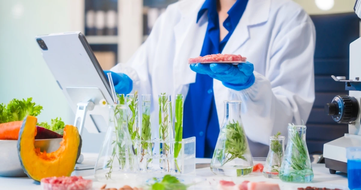 Impact de l’intégration d’un ERP agroalimentaire sur les processus internes de production et de logistique