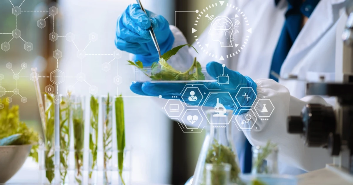 Impact de l’intégration d’un ERP agroalimentaire sur les processus internes de production et de logistique