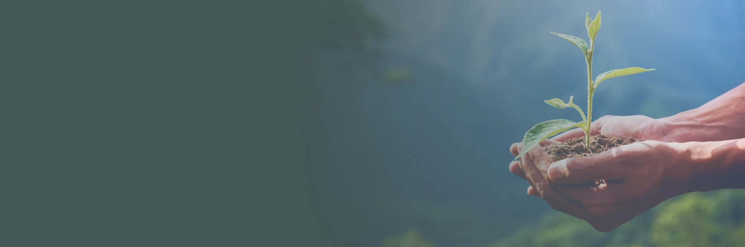 Conformité environnementale : respect des normes locales et internationales.